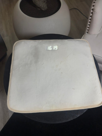 Stand Up Alarm
